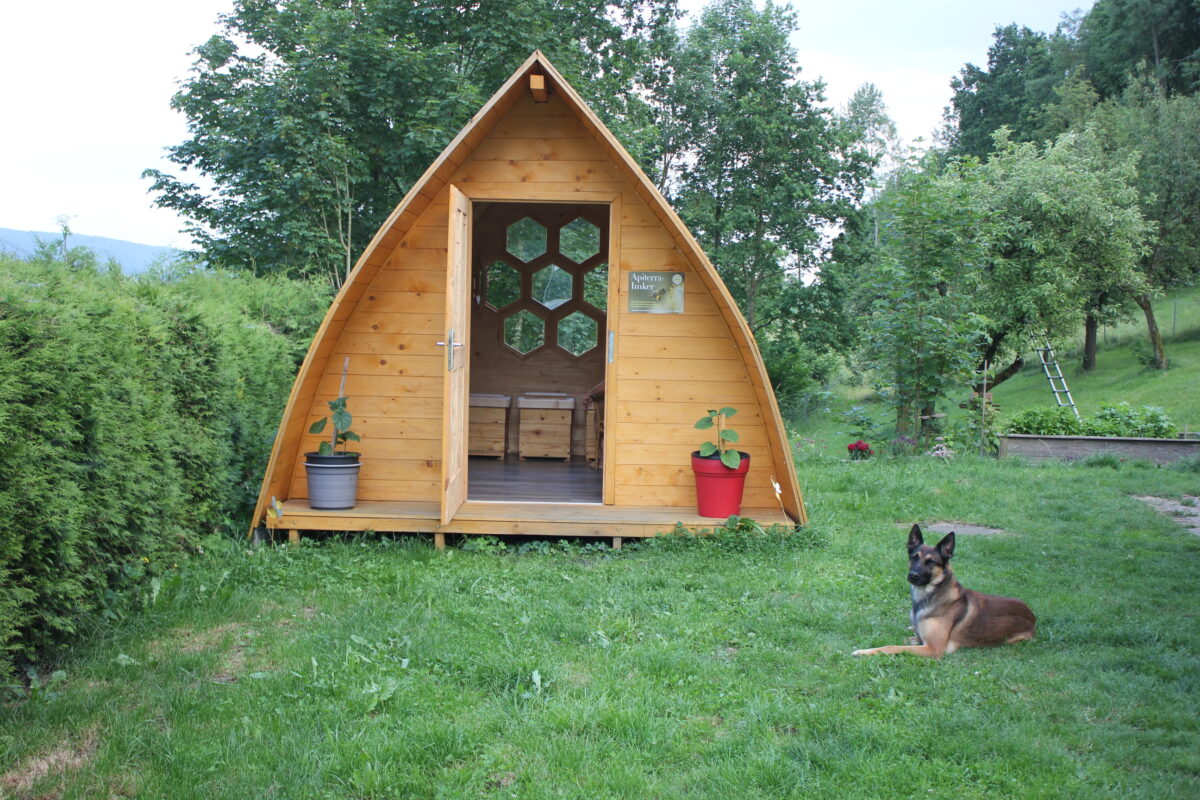 Apipur - Bienenstockluft Huette Bienenstockluft-Hütte mit offener Tür und Wabenfenstern, davor ein Hund auf der Wiese im Obstgarten